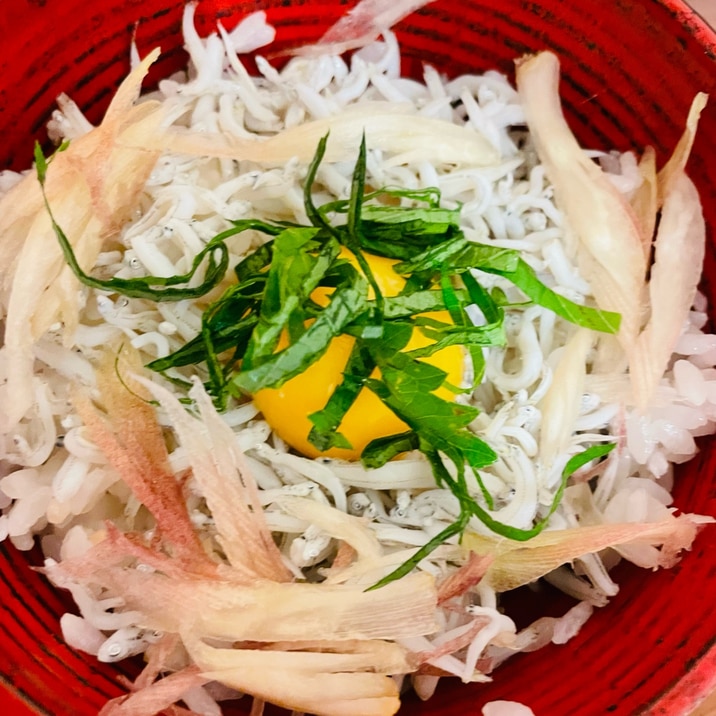 夏にさっぱり！しらす丼